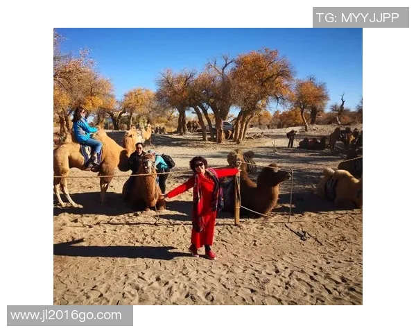 西安极限运动队的拼搏之路与梦想追逐全景纪实 西安极限运动队的拼搏之路与梦想追逐全景纪实