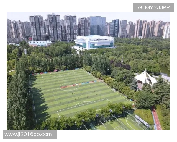 西安足球队反击战术解析与实战运用深度剖析 西安足球队反击战术解析与实战运用深度剖析