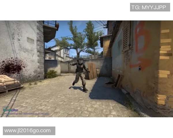 CSGO巨献：深入分析LNG战队的协作与战术配合之道