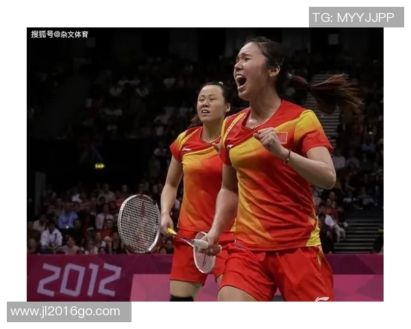 深入探讨北京羽毛球队成员个人能力表现的数据分析与评估