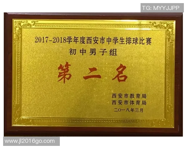 西安排球队的转换策略分析与比赛表现评估 西安排球队的转换策略分析与比赛表现评估