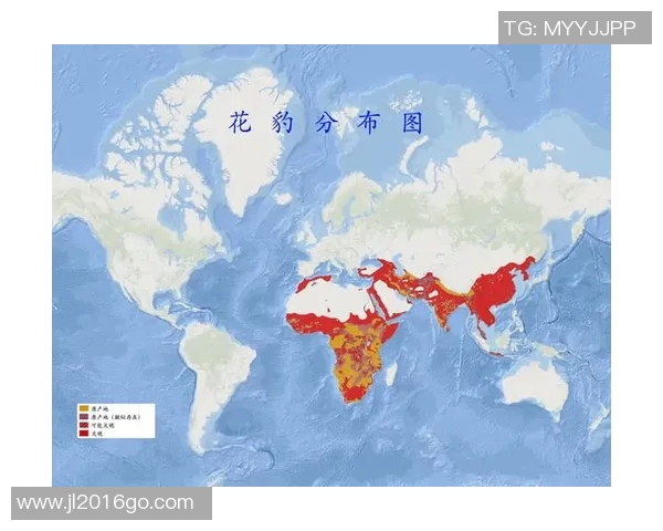 贝宁与喀麦隆欧赔对比分析揭示两队胜负关键因素