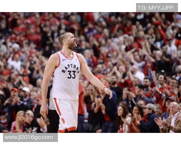 雄鹿与猛龙对决分析及大小分预测策略分享