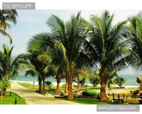 中国与马尔代夫足球赛门票信息及购买攻略详解