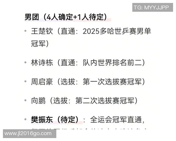 成都乒乓球队配合策略深度剖析与其他队伍的差异比较