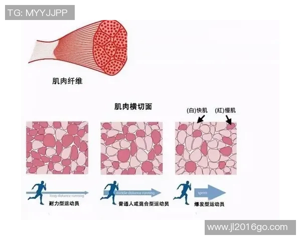 杭州篮球队与北京篮球队耐力对决赛后分析与总结